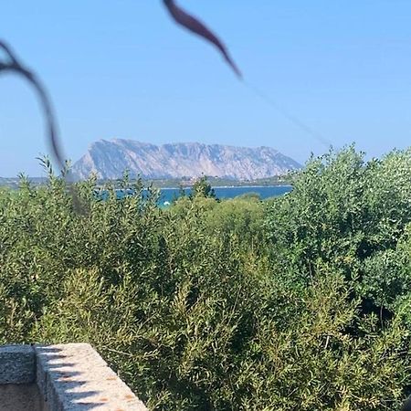 La Cinta Villa San Teodoro  Kültér fotó