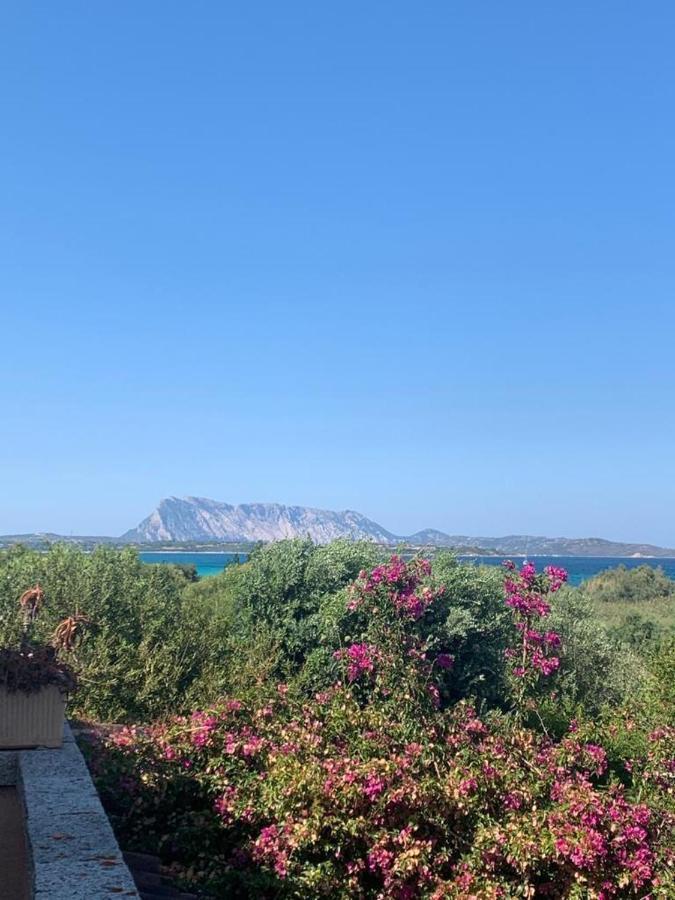 La Cinta Villa San Teodoro  Kültér fotó