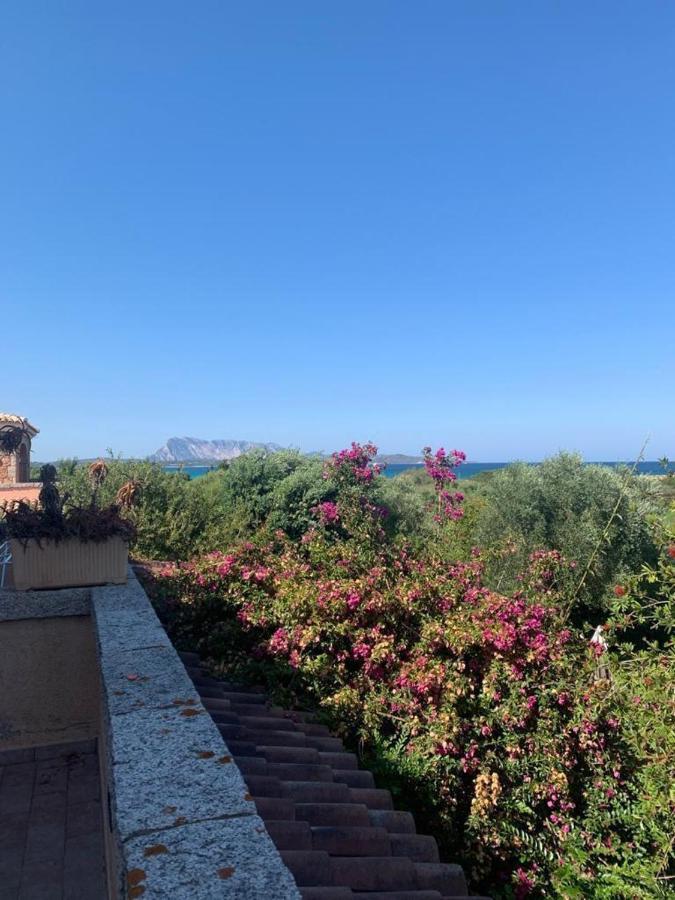 La Cinta Villa San Teodoro  Kültér fotó